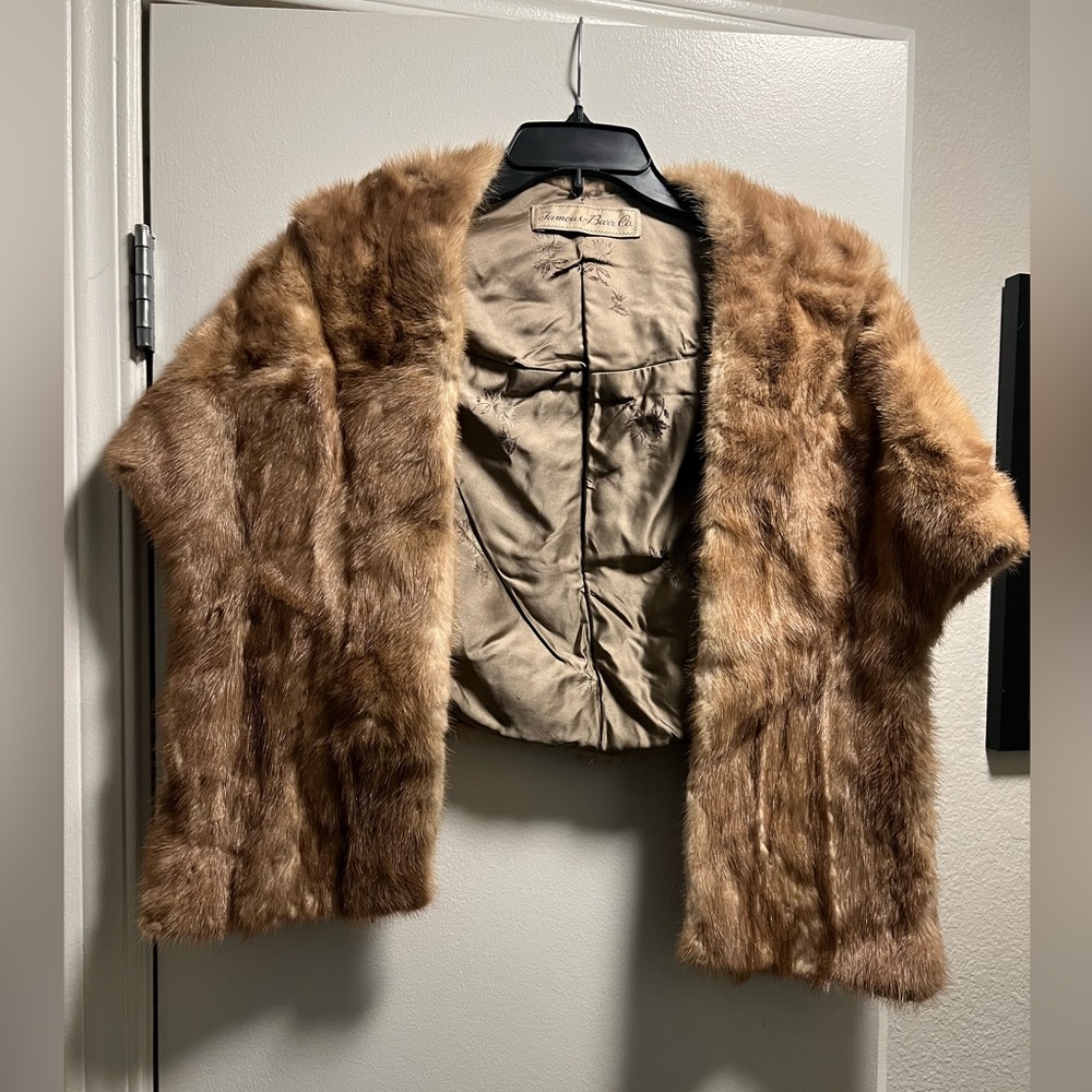 Famous Barr Co Mink Stole